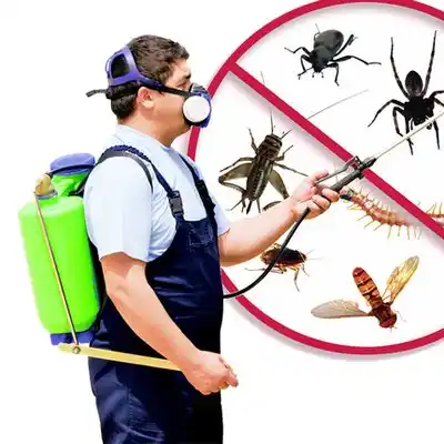 pest control Riverwood